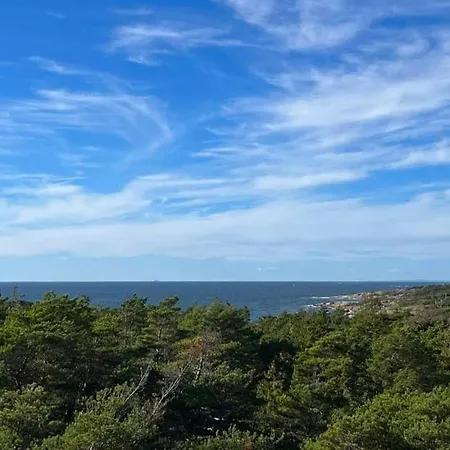 Live Among Trees In An Architect Drawn Skjærhollen