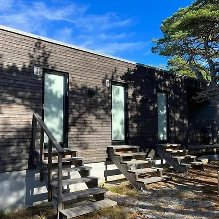 Live Among Trees In An Architect Drawn