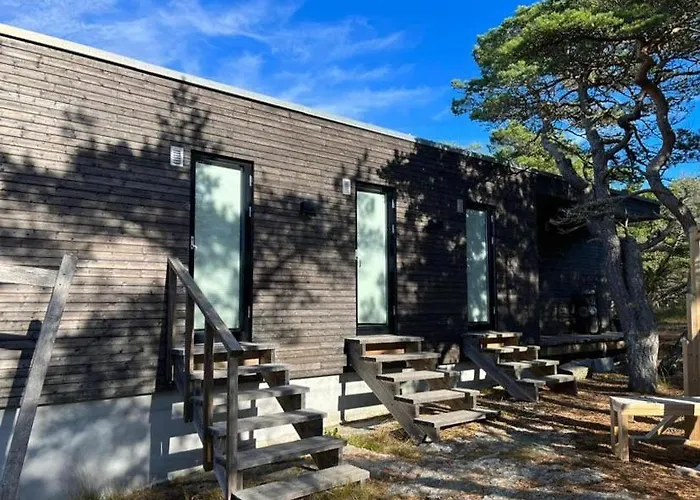 Live Among Trees In An Architect Drawn